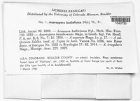 Image Associated With the Occurence